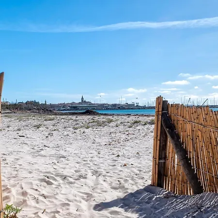 Near The Alghero
